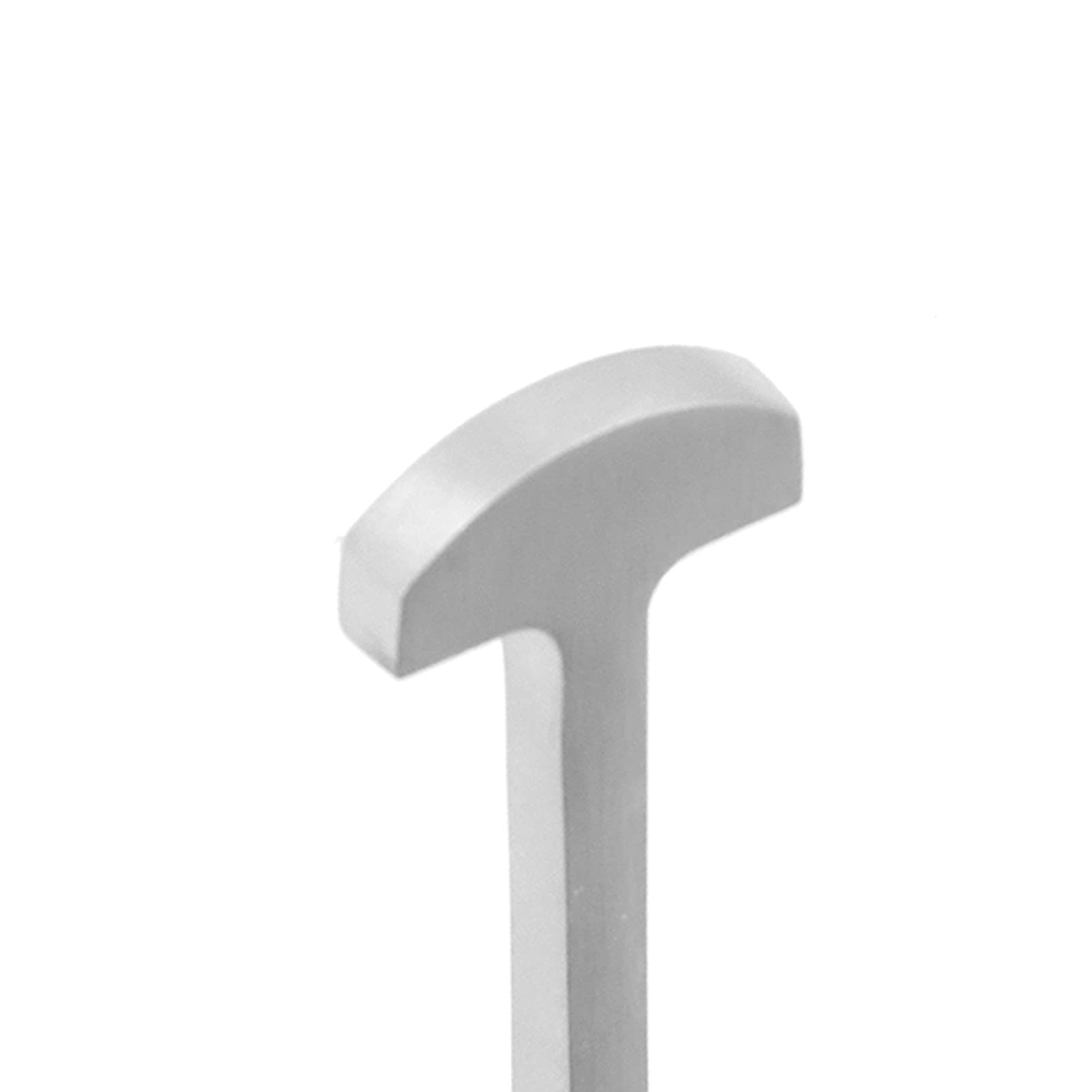 Eel Spike, Japanese Style T Shaped Fish Eel Nail 304 Stainless Steel Fish Nail for Home Shop Restaurant