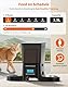 HoneyGuaridan Futterautomat Katze 2 näpfe, 4 Anti-Rutsch-Füße, Stabilität, 3.5L Automatischer Futterspender für Katzen & Hunde, 1-6 Mahlzeiten/Tag mit Timer-Steuerung (Duale Stromversorgung)