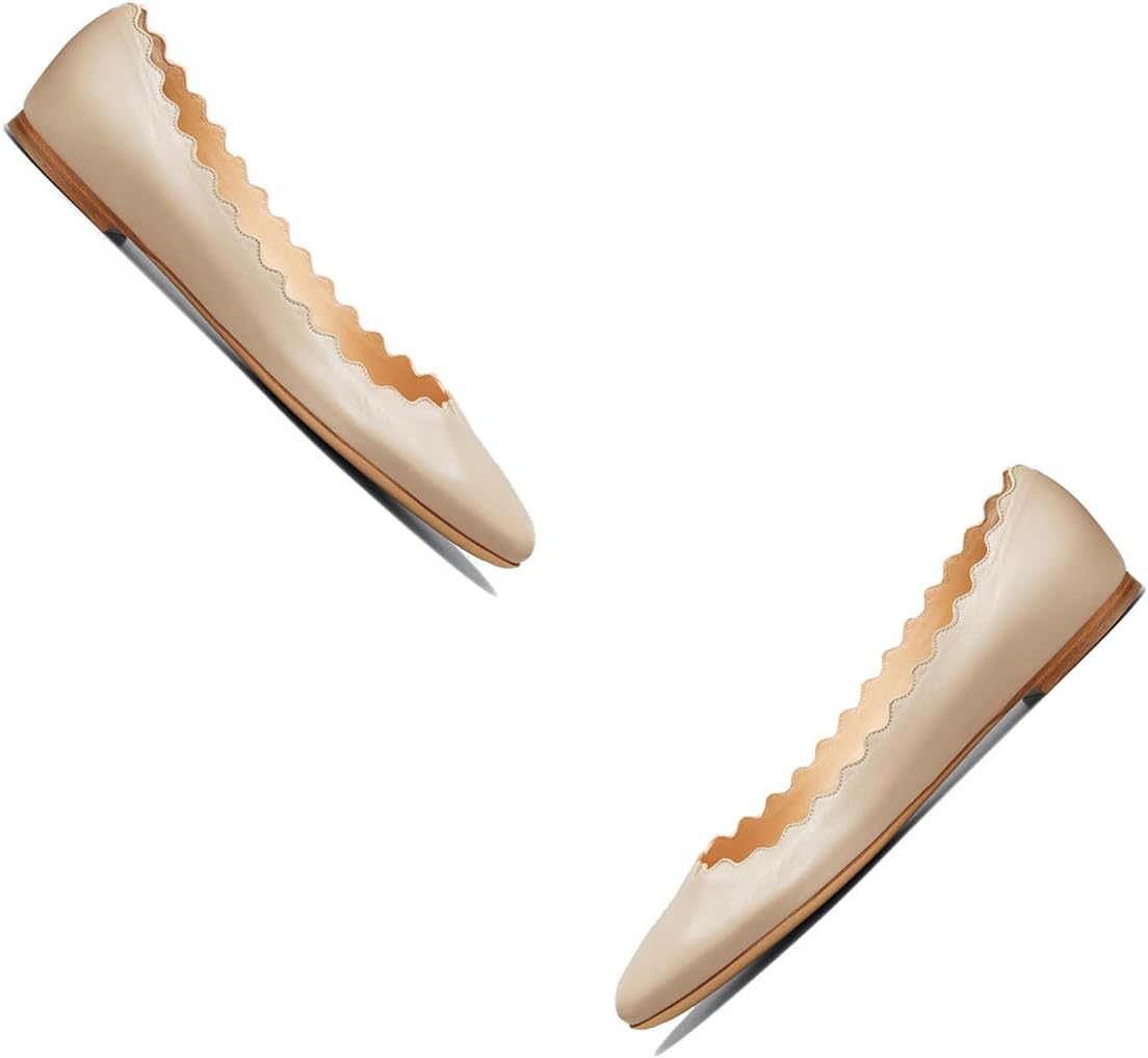 LEHOOR Women Closed Round Toe Flats Slip On Ballet Flats Casual Flat Shoes Comfort Flat Heel Dress Shoes Office Party Office Ladies Drive Flats Walking Street Classic Chic 4-11 M US