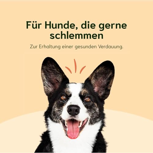 Chōmi Dog Super Sausage Fresh Lamb & Veggie 8-er Pack | (200g x 8) | Nassfutter Für Hunde | Lammwurst für Hunde | Erwachsene | Getreide- und konservierungsmittelfrei | Mit Meeresalgen | Barf