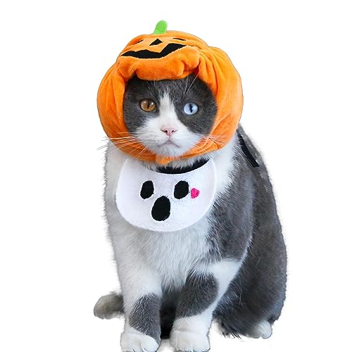  L nEB J{` RXv 蕨 }XN ybgXq  nEB  nEBRXv RX`[ ߑ ϑ 킢  p[eB[ LO RXv ʐ^Be a  L ybg iS, S[Xgj