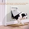 Weatherproof Dog Door for Large Dogs