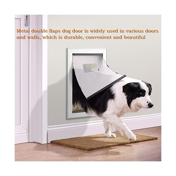 Weatherproof Dog Door for Large Dogs