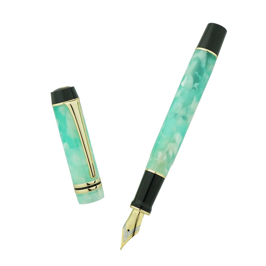 Stylo plume, beau stylo à encre F/Plume pour bureau, école, cadeau