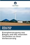Energieerzeugung aus Biogas und die neuesten Techniken zu ihrer Verbesserung: DE