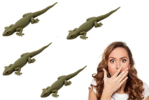 Image of AGC Fake Lizard & Snake Combo Toys | Realistic Rubber Chipkali & Snake Prank Toy | Scary Prank Gadget for Kids & Adults | Real Looking Reptile Toy for Fun & Decoration (Pack of 1 Lizard + 1 Snake)