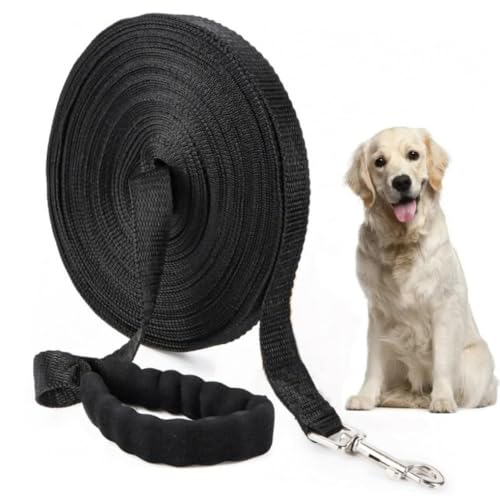 Collar De Entrenamiento Para Perros, Acero Inoxidable Duradero Para