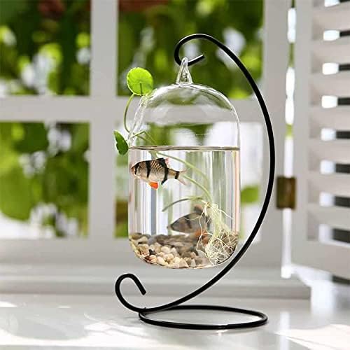 zhaoxing Designs Ornament Displays Stands Racks 13 inches Tall- Christmas Ornament Terrarium Holder Glass Globe Lanterns 2pc