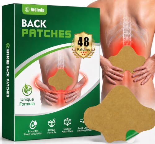 Image of Pain Relief Patches, 48 Pcs Back Pain Relief, Wormwood, 12-Hour Use