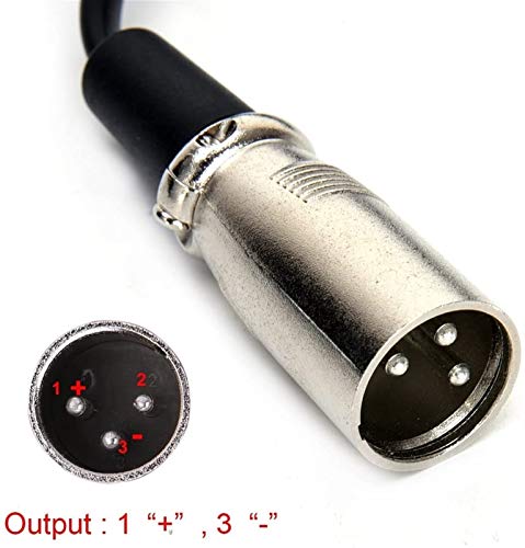 LIUPING Caricabatteria agli Ioni di Litio da 54,6