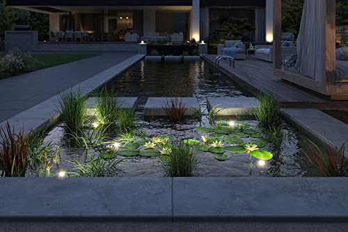 Foco para estanque LED IP68 Paulmann luz exterior regulable 3000K negro 5