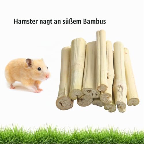 LMYKH Kaninchen Kauspielzeug, Hamster Spielzeug mit apfelstäbchen Timothy Heu Sticks, Kleintiere Molar Zubehoer für Meerschweinchen, Chinchilla, Hasen