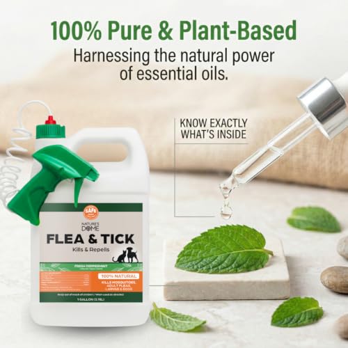 Image of Flea and Tick Spray for Yard & Home 128 Oz - Nature's Dome Peppermint Oil Pest Control | 1 Gallon Refill for Lawn, Patio, Carpets & Pet Areas | Kills & Repels Fleas, Ticks and Mosquitos | Plant-Based
