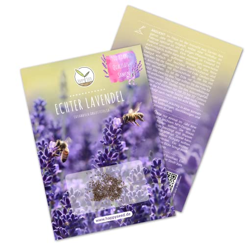 900x Lavendel Samen mit hoher Keimrate - Vielseitig einsetzbare Heilpflanze & ideal für Bienen und Schmetterlinge (inkl. GRATIS eBook)