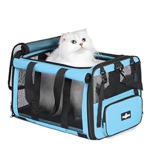Pet Carrier, Collapsible Airline Approved Dog Cat Carrier, Soft Top Load Cat Carrier Bag for Small Medium Cat & Dog Under 20 lbs, Cat Travel Carrier Bag with Safety Lock Zipper, Blue