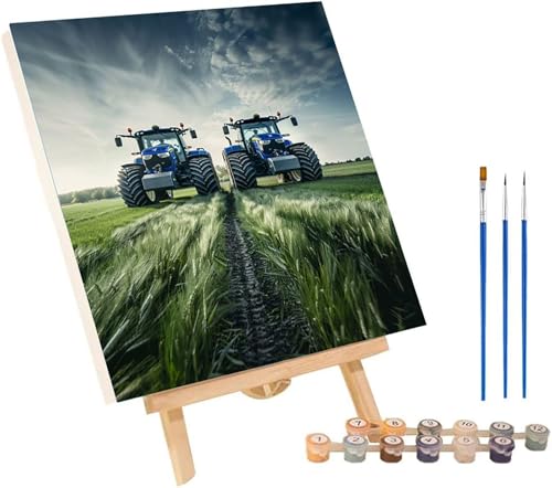 車 数字油絵 DIY Paint by Numbers for Adults 草原 数字塗り絵 キット 大人用 初心者向け、 ペイントバイナンバー 大人のクラフト Paint by Numbers ホームウォールデコレーション用 誕生日プレゼント女性 10