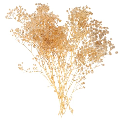 Ramo de flores preservadas blancas Gypsophila secas