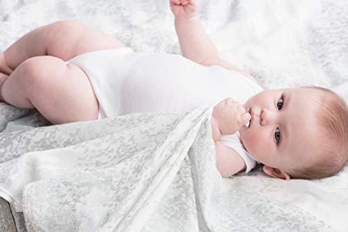 Aden + anais fasce in bambù - Swaddle - Azzurro
