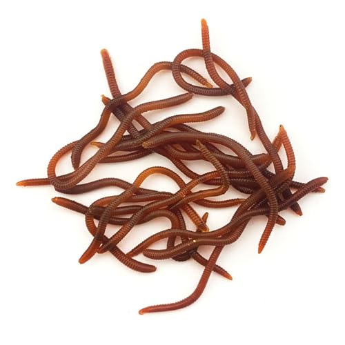 FOLANDO 20PCS Soft Fishing Lures, 10CM Earthworm Soft Plastic Baits for Bass, Trout, Redfish