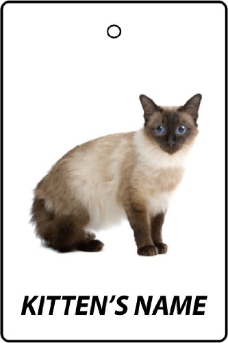 Deodorante per Auto Personalizzato Balinese Kitten...