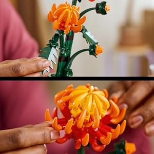 Amazon.co.jp - レゴ® アイコン 菊 10368