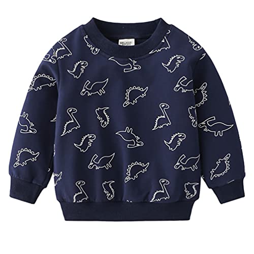 Boys Toddlers Dinosaurs Sweatshirts Long Sleeve Shirt Kids Pullover Tops4