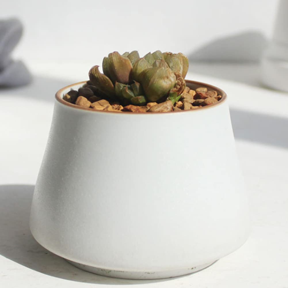 NTPHNB Creative Simplicity Ceramic Cactus Succulent Planter Pot Container Small (T)