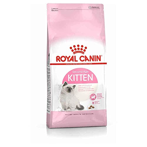 ROYAL CANIN Kitten Cats Dry Food 10 kg