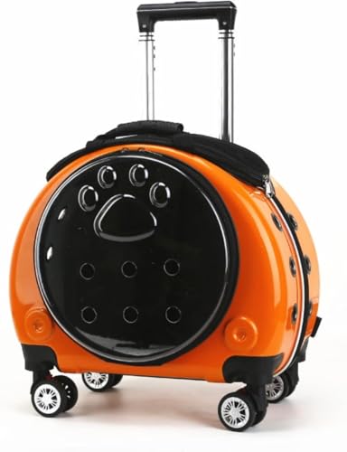 LumoLightybg g[P[X ybgobO L[bN @\ L ^ LX^[ 4 ʋC Lknh |[^u ^ъȒP 莝 U  s d s AEghA o ֗ L[P[X ו (IW