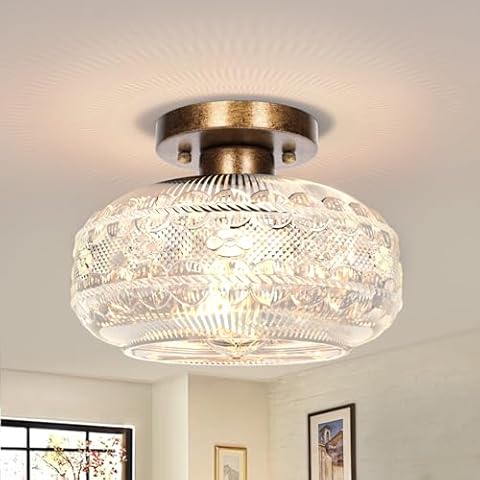 APOTO Antique Bronze Globe Glass Ceiling Light Cover