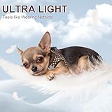 AIITLE Verstellbares Hundegeschirr und Leinen-Set, weiches Netzgewebe, reflektierendes Karomuster, Welpen und Hauskatzen, zum Spazierengehen und Laufen im Freien, Schokolade, XS