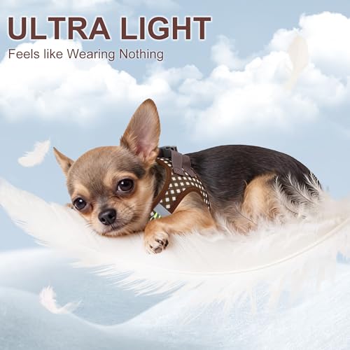 AIITLE Verstellbares Hundegeschirr und Leinen-Set, weiches Netzgewebe, reflektierendes Karomuster, Welpen und Hauskatzen, zum Spazierengehen und Laufen im Freien, Schokolade, XS