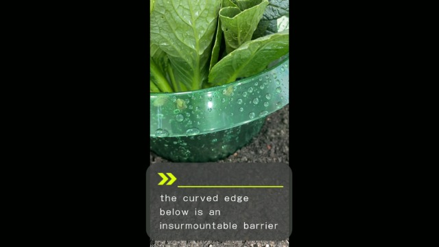 Amazon.com : Fshow Garden Cloches，15 Pack Plastic Slug & Snail