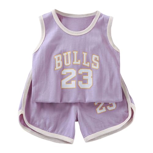 [veolaimy] xr[ ZbgAbv  ^Ngbv V[gpc  ʋC  gbvX n[tpc  낢  q  JWA Ԃ ؍  ʉ ʊw i s oYj v[g