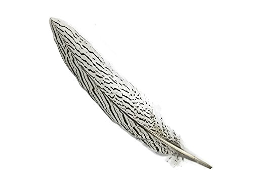 Moonlight Feather | 10 Pieces - 10-12" Natural Silver Tail Barred Black And White Pheasant Feathers Craft Wedding Costume Feathers #TOP7