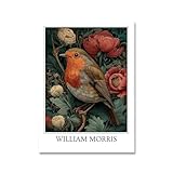 Matvsd Kohecs Robin von William Morris Poster und Drucke 