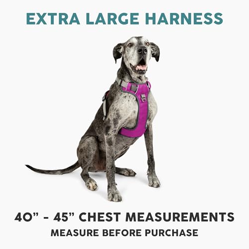 Most Comfortable Dog Harness For Large Dogs