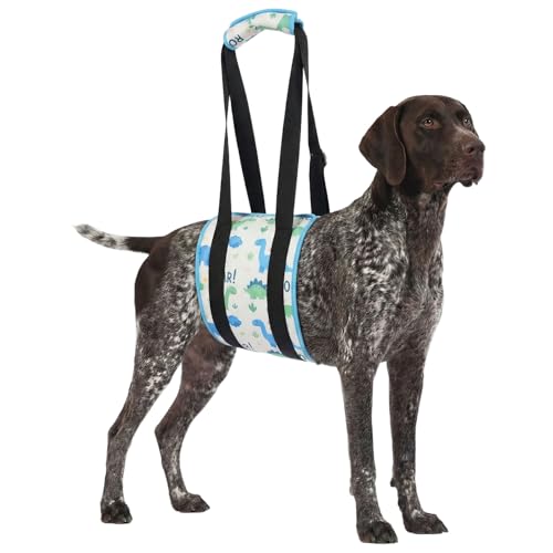 LovinPet Adjustable Dog Lift Harness for Medium & Large Breeds, 3-Layer Rear Support Sling with Padded Handles, Quiet Hook-and-Loop, Easy-On for Senior & Injured Pets – Dinosaur Print, White