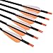 26Inch Carbon Arrow Practice Hunting Arrows Targeting with Removable Tips for Archery Compound & Recurve & Traditional Bow (Pack of 12)