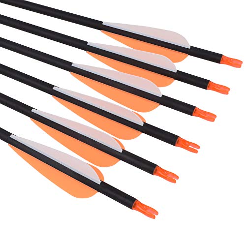 image for Archery World 26Inch Carbon Arrow Practice Hunting Arrows Targeting wi