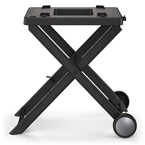 Ninja OG701 Woodfire Outdoor Grill Review