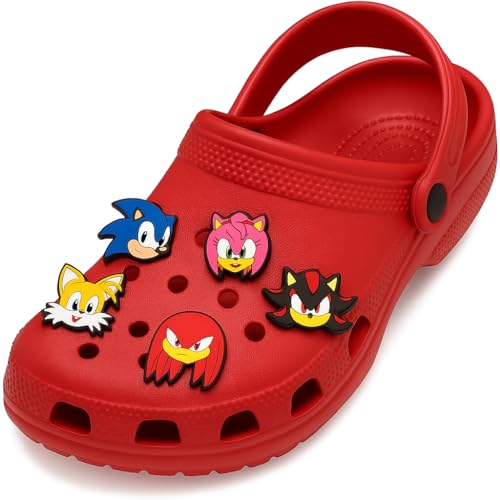 Image of BABOLE 5 Pcs Pack Shoe Charms For Decoration Clogs Sandels Multicolour