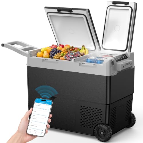 Feelfunn 61QT Dual Zone Portable Freezer