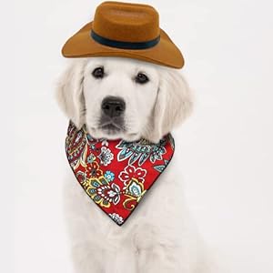 KUDES-2-Pieces-Funny-Pet-Costume-Accessories-Set-Cat-Small-Dog-Cowboy-Hat-with-Adjustable-Elastic-Chin-Strap-and-Bandana-for-Birthday-Christmas-Halloween-Holiday-Party-Cosplay-and-Daily-Wearing - Cucciolini Doodles   KUDES-2-Pieces-Funny-Pet-Costume-Accessories-Set-Cat-Small-Dog-Cowboy-Hat-with-Adjustable-Elastic-Chin-Strap-and-Bandana-for-Birthday-Christmas-Halloween-Holiday-Party-Cosplay-and-Daily-Wearing