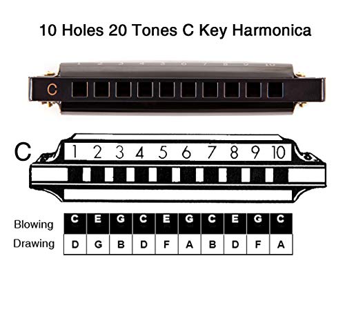 Jieshiling Harmonica, Standard Diatonic Key Of C 10 Holes 20 Tones Blues Mouth Organ Harp For Kids thumb #2