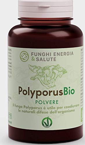 Polyporus Bio polvere
