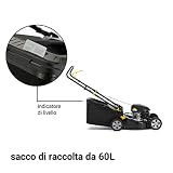 ALPINA AL5 46 SA Self-propelled petrol lawn mower with 139cc engine - 46cm cutting width, 60L collector - 8