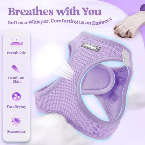 Rabbitgoo Step-In Harness & Leash Set (Light Purple, Small) — view 4