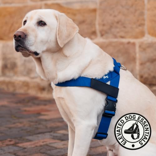 Image of Dog Friendly Co. Dog Harness for Medium Sized Dogs (Classic Blue, Medium)