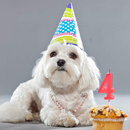 Hot Pink 2Nd Birthday Candles, 2 Candle Rosy, Cake Candles, Bday Candles, Two Candle 2 Yr, Roman Numeral Candles, Happy Cool Fun Glitter Decoration Number Candles No 20 21 22 23 24 25 26 27 28 29 #TOP5